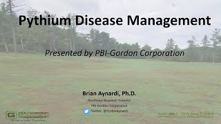 Pythium Disease Management [upl. by Benedikta400]