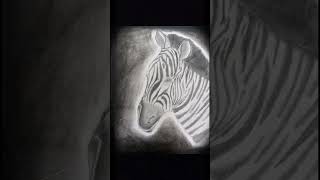 Zebra drawing with pencil shorts [upl. by Severn]