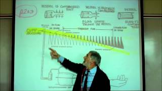 CARDIAC PHYSIOLOGY PART 4 by Professor Finkwmv [upl. by Naval188]