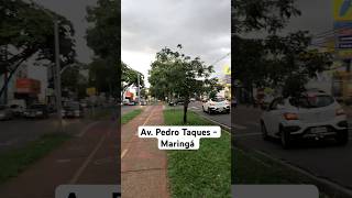 Av Pedro Taques  Maringá [upl. by Dyson]