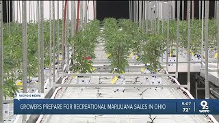 Marijuana growers prepare for recreational sales in Ohio [upl. by Cichocki]