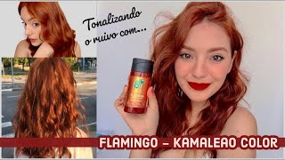 TONALIZANDO O RUIVO COM FLAMINGO  DICAS  Ariane Miranda [upl. by Yrovi]