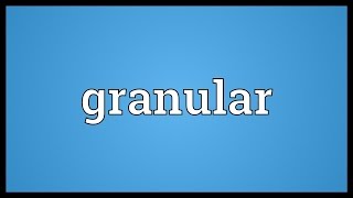 Granular Meaning [upl. by Sharia585]