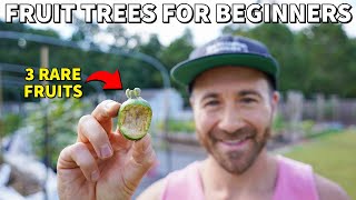 These 3 RARE Fruit Trees Are Perfect For BEGINNER Gardeners [upl. by Micheline]