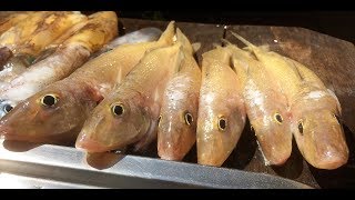 Catching Whiting and Squid on a Perfect Summer Morning [upl. by Malinin]