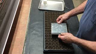 Planting pelleted letuce seed with the IMP 16128P [upl. by Lodi999]