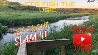 Video 14  5lb Ugie Sea Trout SLAMMED my fly Video 1  improved quality [upl. by Nnoved]