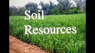 Soil Resources  Geography Class 10 ICSE  One Shot [upl. by Kcirdek]