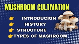 mushroom cultivationbsc 1st semestermushroom farming [upl. by Enyawud]