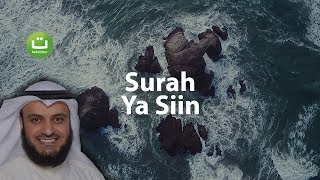 Surah YASIN Merdu dan Menyejukkan  Mishari Rasyid AlAfasy  Tadabbur Daily [upl. by Cesya14]