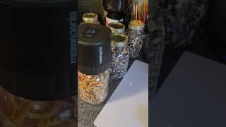 Mason Genie  Mason Jar Vacuum Sealer Test Run [upl. by Orabla]