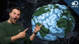 How Does Your Brains GPS Work [upl. by Yhtur]