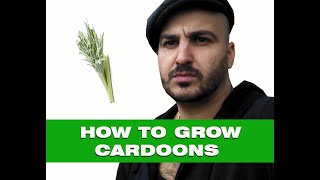 How to grow Cardoons  From Seed to Harvest [upl. by Ahsiekahs]