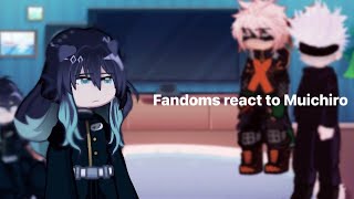 Fandoms react to Muichiro  Part 15  read desc [upl. by Isia]