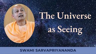 The Universe as Seeing  Swami Sarvapriyananda [upl. by Divan]