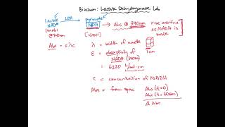 Calculating LDH activity  BIOL307 [upl. by Frankel]