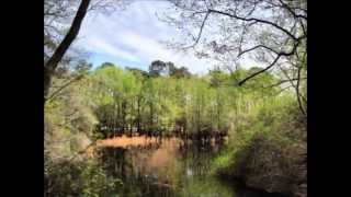 Rourk Woods Community in Shallotte North Carolina [upl. by Terrill786]