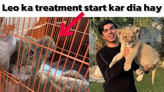 Leo ka treatment start kar dia hay [upl. by Essex]