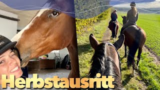 Team Ausritt amp Abschlusstraining mit Campino  Weekly Vlog 226 [upl. by Putscher]