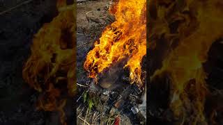 Burning Nike cleats adidas cleats and vans shoes [upl. by Skill]