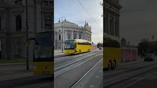 Vienna tram in Burgtheater tram viennatram vienna austria viennacity viennatoday [upl. by Moyers]