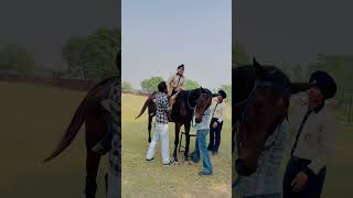 😀🙋‍♂️ reels sharemarket davindernirman horseriding traning [upl. by Evante]