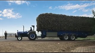 NEW HOLLAND 3630 SPECIAL EDITION WITH FULLY LOADED SUGARCANE TROLLY [upl. by Llehcear]