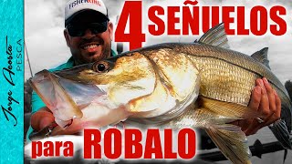 4 Señuelos para pescar ROBALO  2022 [upl. by Mitchel]