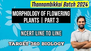 Morphology of Flowering Plants  Part 3  TB 2024 [upl. by Agate914]