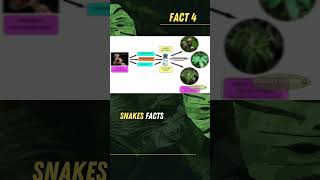 Snake Venom Natures Deadliest Weapon Part 2 facts snake history wildlife ytshorts trending [upl. by Hillegass]