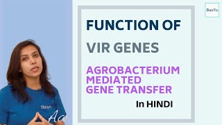 Agrobacterium Mediated Gene Transfer  Part 3  Function of Vir Genes [upl. by Wrand655]