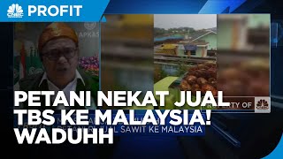 Jual TBS Sawit ke Malaysia Petani Kami Siap Kena Sanksi [upl. by Erdeid]