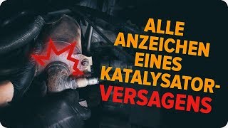 Wie man einen Katalysator überprüft  AUTODOCTipps [upl. by Anael]