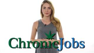 Kauai Cannabis Jobs [upl. by Prager]