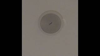 Bose Ceiling Speakers in Paseo Destino [upl. by Bald]