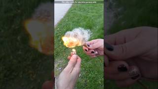 Highly Flammable Cottonwood  Cottonwood Fluff [upl. by Nere]