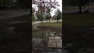 Rain ASMR and future location of outdoor pond [upl. by Valerle]