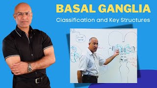 Basal Ganglia Classification and Key Structures  Neuroanatomy [upl. by Eilasor311]