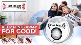 Pest Reject Pro  Creepy [upl. by Veedis]