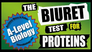 The Biuret Test  Biochemical Food Tests For A Level Biology and GCSE Biology [upl. by Uwton664]