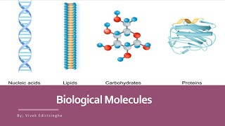 Biology 5090  Unit 3 Biological Molecules [upl. by Pease]