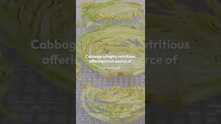 Exploring the Health Benefits of Cabbage Nutritional Benefits Health Advantages health cabbage [upl. by Ondrea]