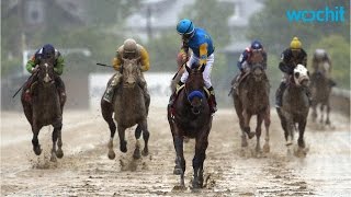 Preakness Begins With Accidents Horses Death [upl. by Gardiner]