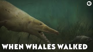 When Whales Walked [upl. by Ahsit]