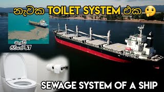 නැවක TOILET system එක 🤔 🚽 sewage system of a ship නැවේ ජීවිතේ 37 vlog 75 🚢 ⚓ [upl. by Otte]