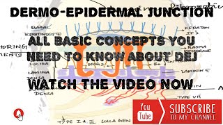 DERMOEPIDERMAL JUNCTION [upl. by Krasner]