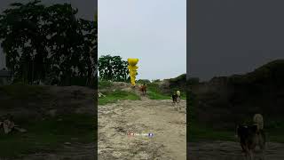 Teddy bear ar friends dog sate jkn khala kore 😅 funny reels fypシ゚ viralvideo omgteddy [upl. by Broucek]