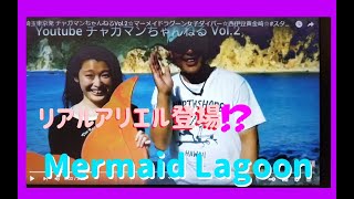 【埼玉東京より無料送迎】シンクロ女子が本気で魅せるリアルマーメイド スキューバダイビング [upl. by Fassold]