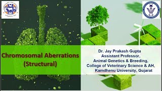 Structural Chromosomal Aberrations [upl. by Churchill16]