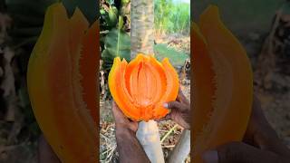 PAPAYA FRUIT  AMAZING FRUITS CUTTING SKILLS P8 shorts [upl. by Apollo]